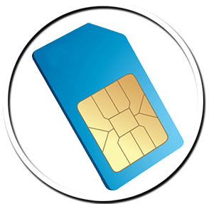 1 sim